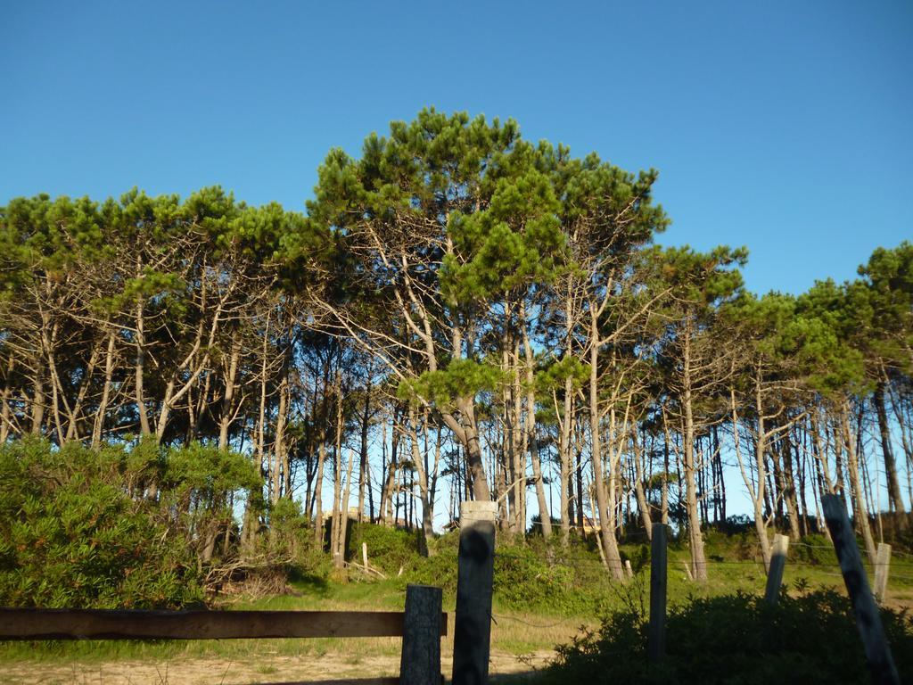 Cabanas Pietragalla Punta Del Diablo Eksteriør bilde